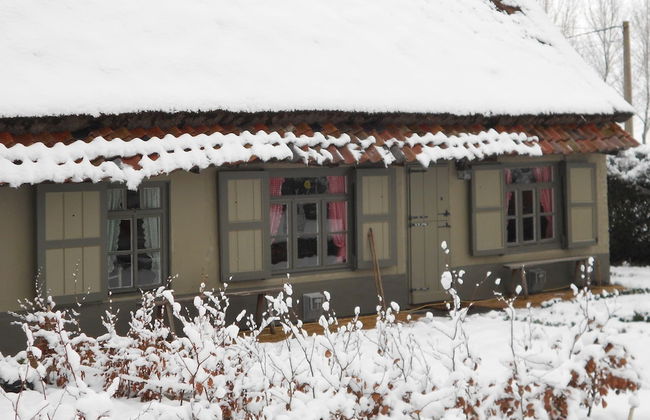 Tranquil Home With BBQ - Photo 28