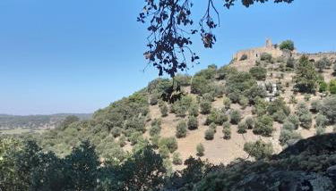 Olive -Casa da Boavista - Foto 2