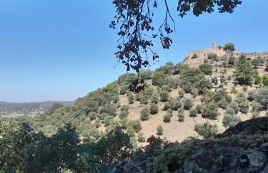 Olive -Casa da Boavista - Foto 2