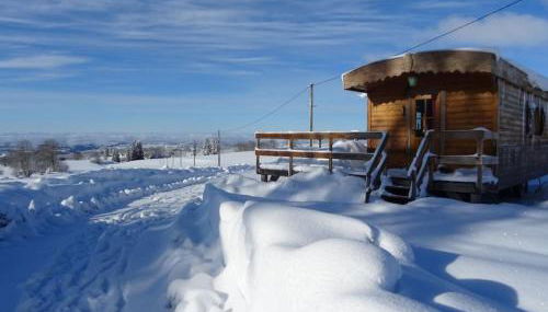 Belle roulotte de style chalet au coeur du Sancy - Foto 5