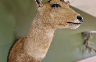 The Hamilton luxury holiday let's- The Coach House with hot tub - Foto 39