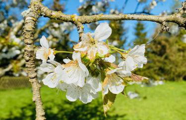 Willa na Kaszubach - Foto 39