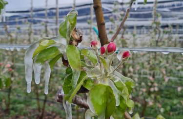 Versigglhof - Foto 60