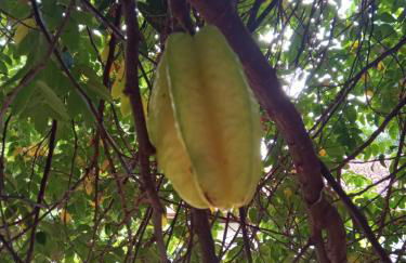 Chácara com acesso à represa - Foto 48