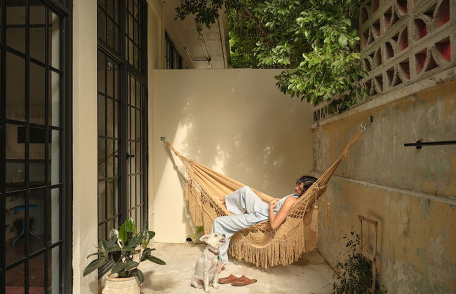 PAZ by DW - Photo 26