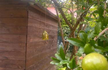 La casa di Francy con Giardino Privato - Foto 25