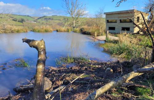 Cornflour Cozy Cabin Retreat - Foto 9