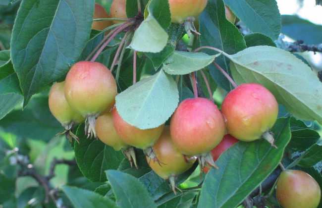 Seaside House 2 Double Bedrooms With Spectacular Mountain Sea View - Foto 14