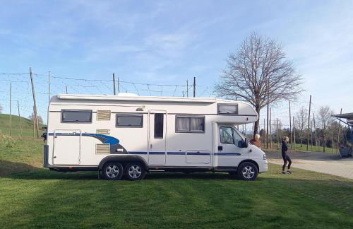 Ferienhof Metzler - Foto 6