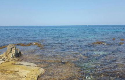 CASA CAVORA - Villa Petunie - Foto 37