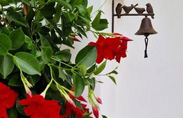 Corte Dioniso Eco Apartments & Suites - Foto 13