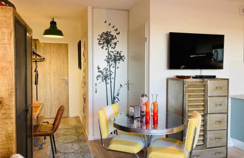 Studio neuf déco vintage face mer,terrasse ,jardin,wifi,parking sous-sol - Foto 10