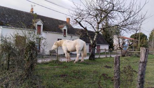 Gite 3 du Bas Coudreau - Foto 3