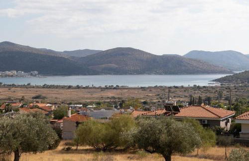 Nostalgia Seaview House - Foto 42