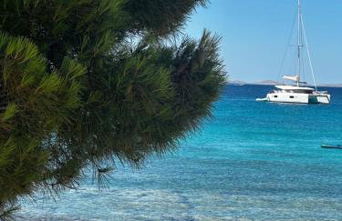 Palm Blues - Photo 74