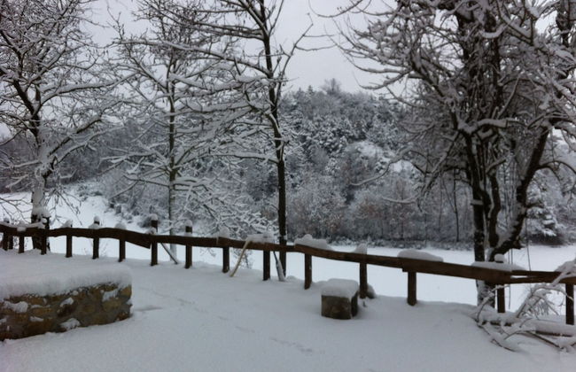 Agriturismo Azienda Agricola Bortolotti - Foto 38