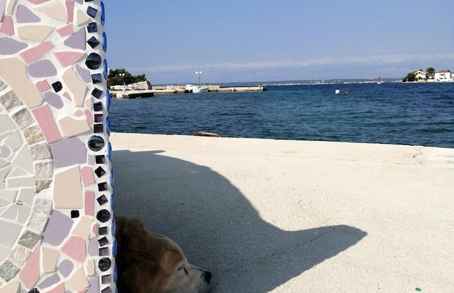 Detached House Miketa - Foto 45