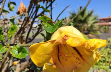 Villa Punta Calma - Foto 17