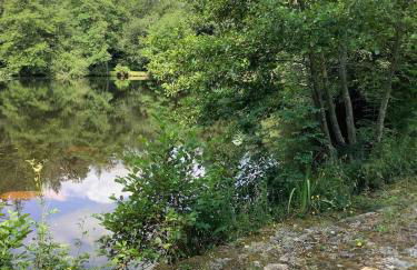 Lake View Cabin - Foto 10