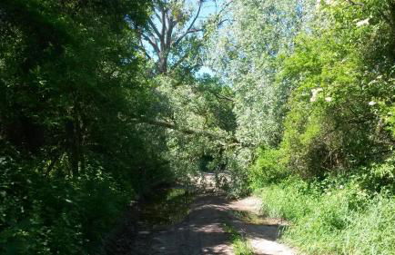 Ferienwohnung Wroblewsky - Foto 27