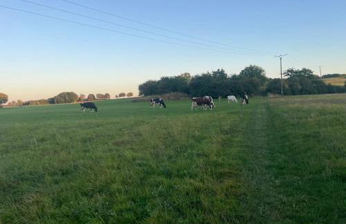 Ferienwohnung Lenzen - Photo 11