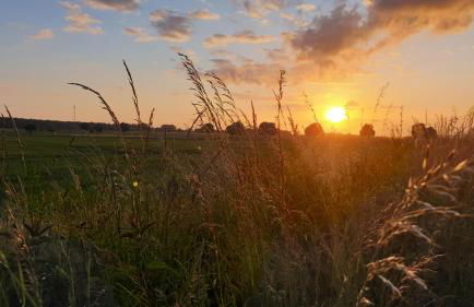 FeWo Frühling in der Villa Waldrand mit großem Garten - Foto 22