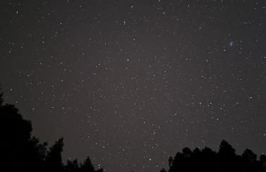 Serenity Grove - Foto 57