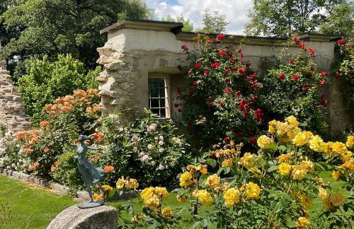Design Ferienwohnung mit Bauerngarten - Foto 50