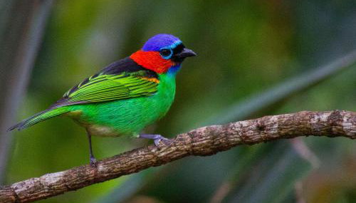 Casa do Carlos, praia da Enseada Ubatuba-SP - Foto 3