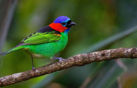 Casa do Carlos, praia da Enseada Ubatuba-SP - Foto 3