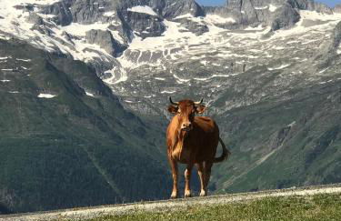 PRINCESSE DES NEIGES - Foto 23