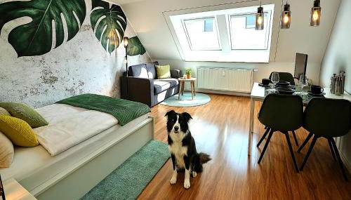 HOMELY STAY Serenity Greens - Stylisch Studio-Apartment with kitchen - 15 min from Central Station-pet friendly - Foto 2