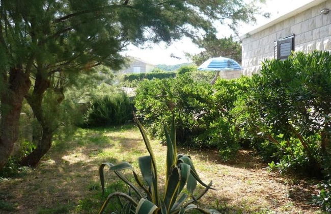 Rajko - 40 m From Beach - A1 - Foto 13