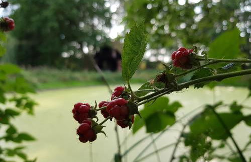 NEU! Alte Schule Jarnsen Klassenzimmer - Photo 8