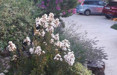 Apartments Makaus - Photo 31