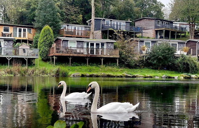 Crib Goch Cozy Dog-friendly Cabin Retreat - Photo 26