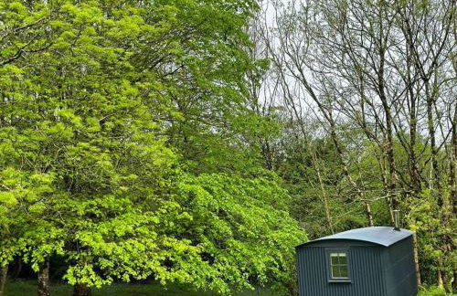 Cornwall Woodland Shepherd's Hut with Hot Tub - Deirdres Hut - Foto 13