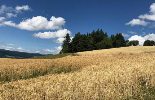Gite des Rosiers - Foto 35