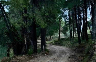 Panorama Traditional Village House - Foto 40