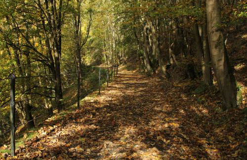 Chalet Alba - Foto 64