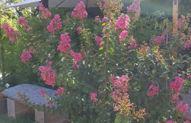 Bed & Breakfast La Tana dei Sognatori - Foto 11