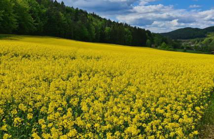 All Senses Ferienwohnung - Foto 28