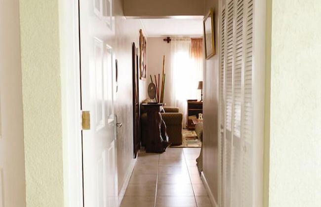 New Kingston Guest Apartment VII - Foto 16