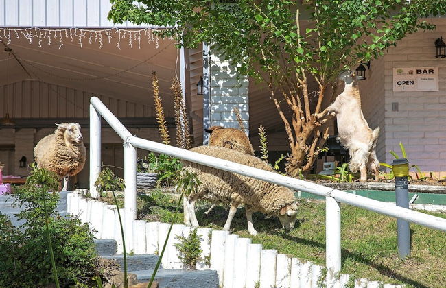 Altamira Along Bakers Creek - Photo 13