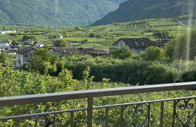 Valtellinda - Foto 19