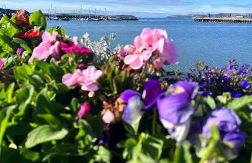 JS Holidays The Westmorland Lagganhouse - Foto 49