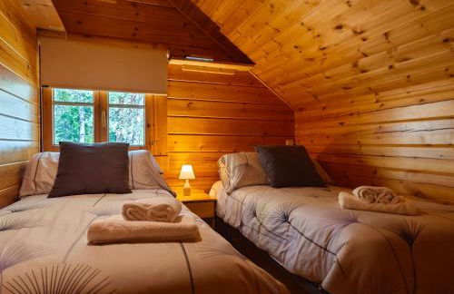 El Pi Solitari - Photo 31