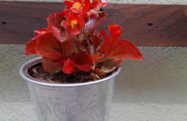 Appartamento Rosanna - Foto 34