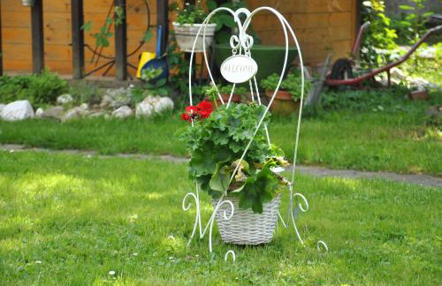 Sunčani Apartments - Foto 43