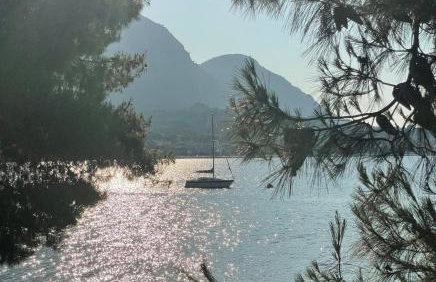 The Doctor's house - Το σπίτι του γιατρού - Photo 7